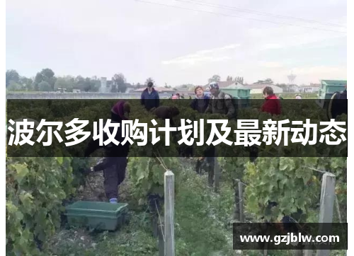 波尔多收购计划及最新动态